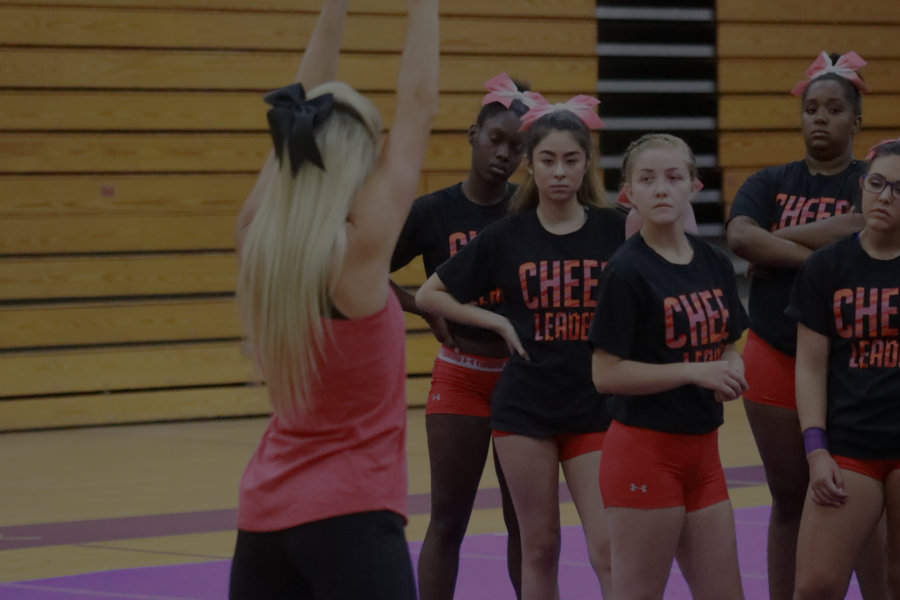 Tryout Coordination, Planning, & Advisory